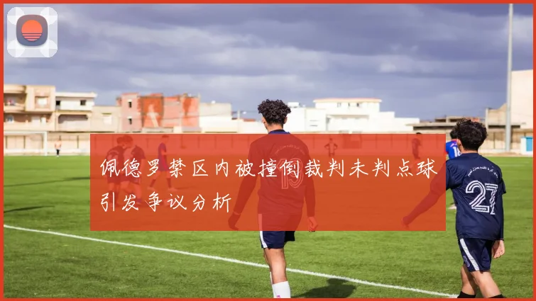 佩德罗禁区内被撞倒裁判未判点球引发争议分析