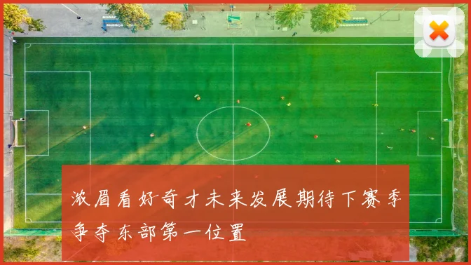 浓眉看好奇才未来发展期待下赛季争夺东部第一位置